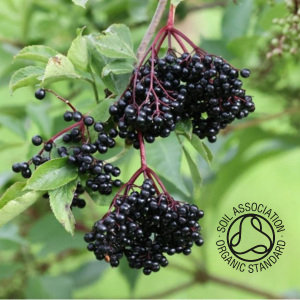 Unpasturised Organic Elderberry Juice (delivered frozen)