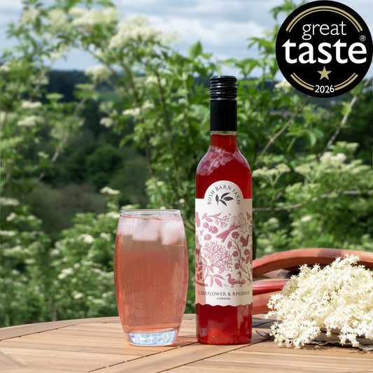 Elderflower & Rhubarb Cordial