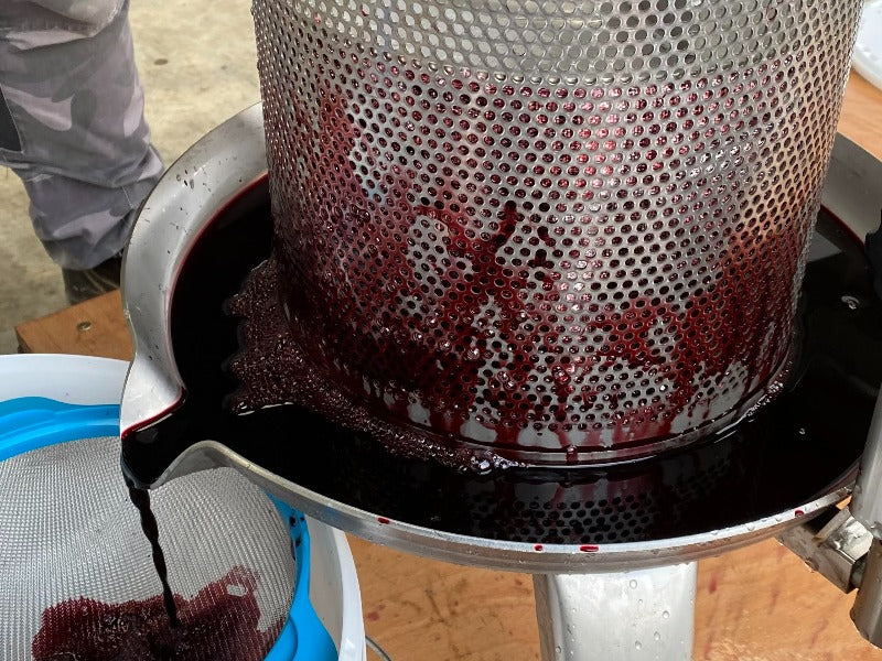 Unpasturised Organic Elderberry Juice (delivered frozen)