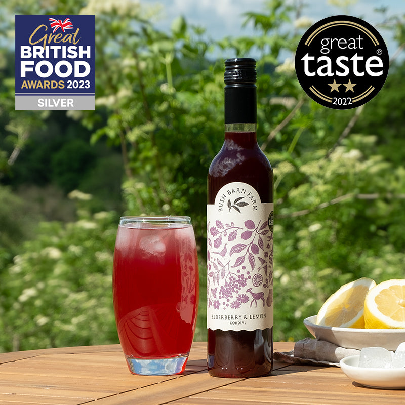Elderberry & Lemon Cordial