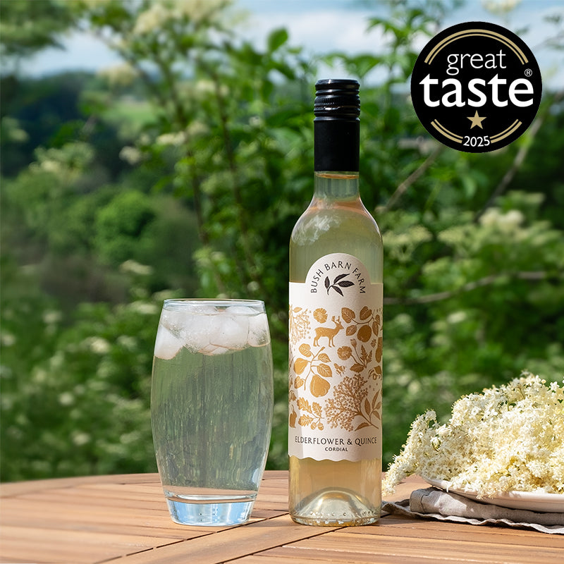 Elderflower & Quince Cordial