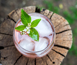 Elderflower & Rhubarb Cordial