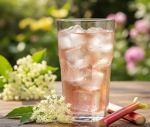 Elderflower & Rhubarb Cordial